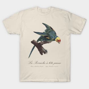 Carolina Parakeet / Perruche a Tete Jaune - 19th century Jacques Barraband Illustration T-Shirt